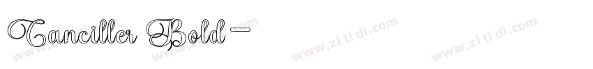 Canciller Bold字体转换